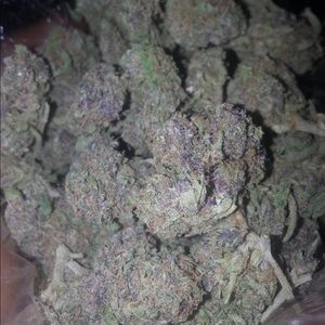 Meet your Posher, Lamar